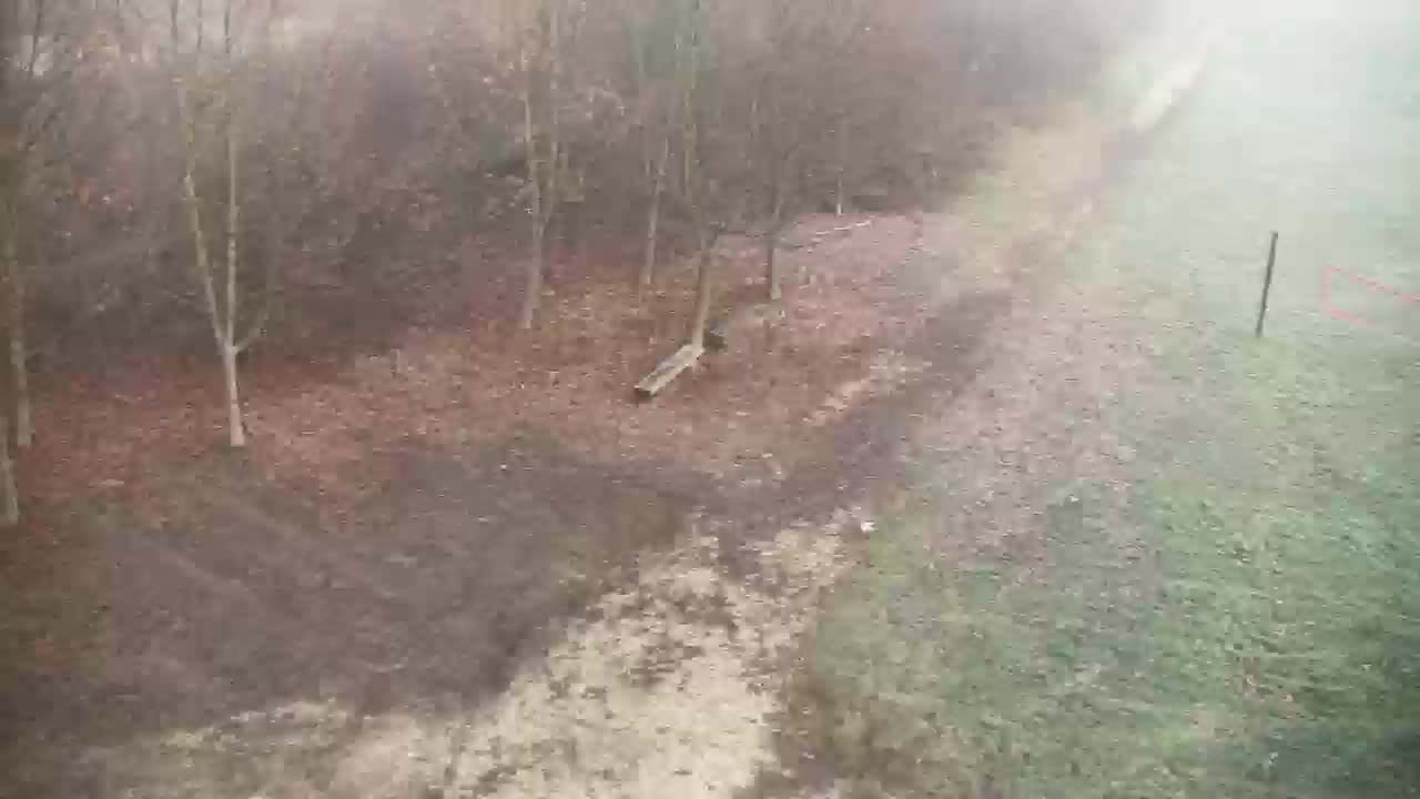 Webcam Ribnik Vrbje – Žalec