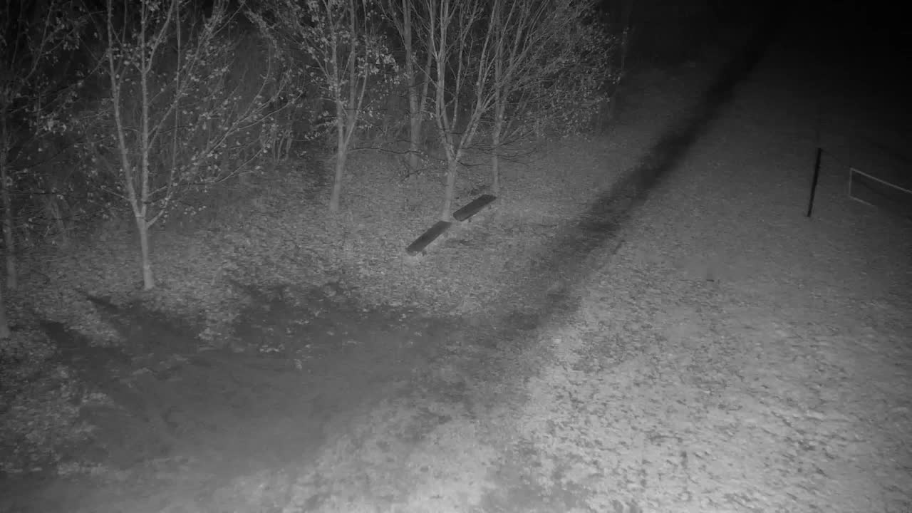 Webcam Ribnik Vrbje – Žalec