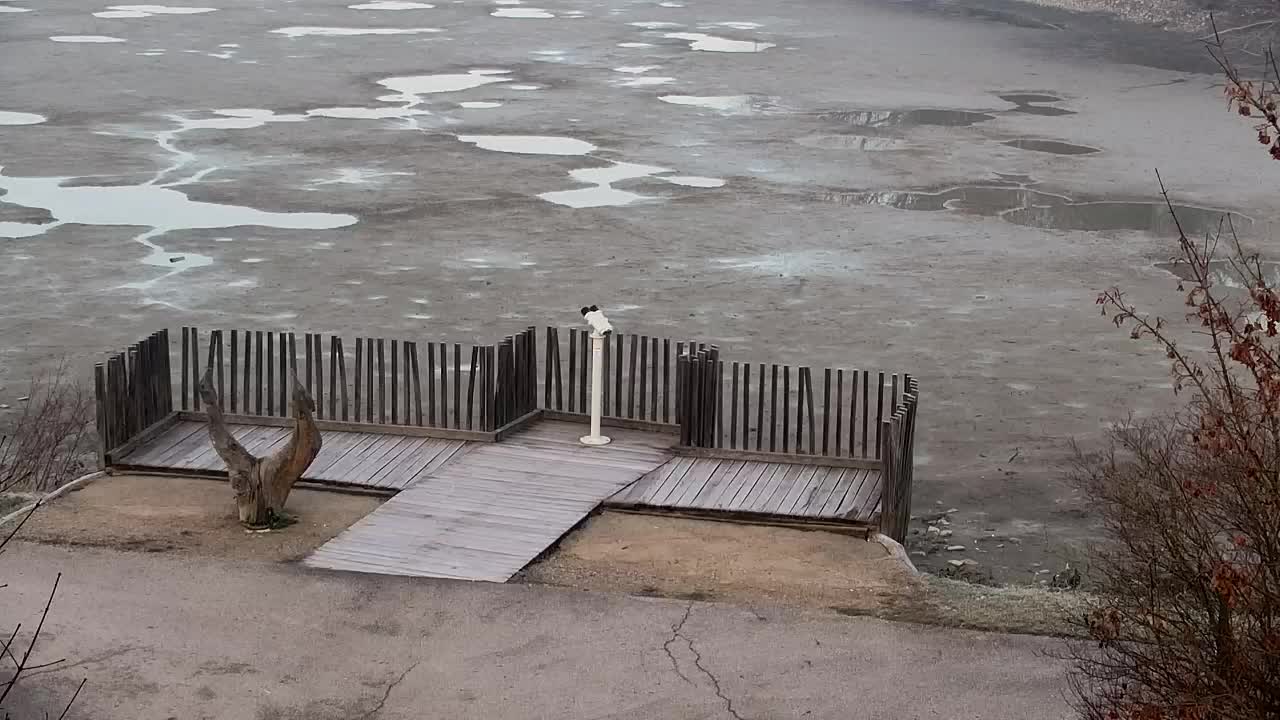 Webcam Ribnik Vrbje – Žalec