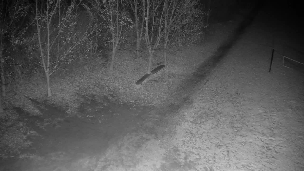 Webcam Ribnik Vrbje – Žalec