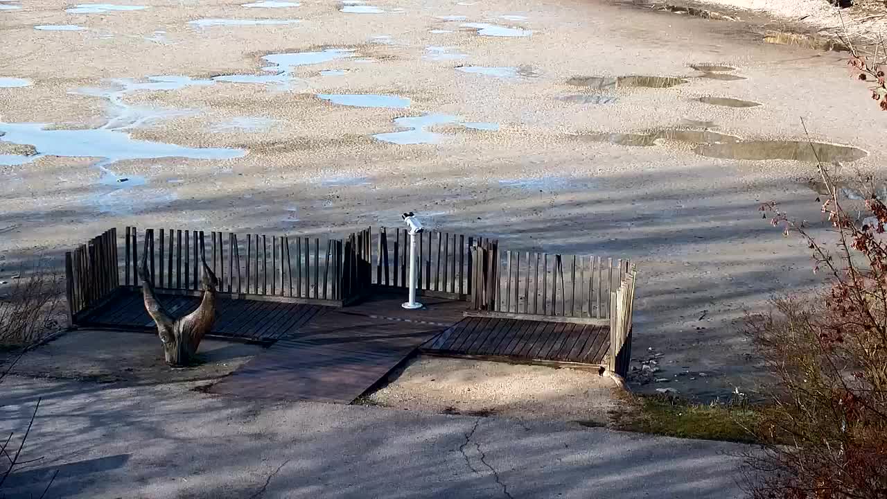 Webcam Ribnik Vrbje – Žalec