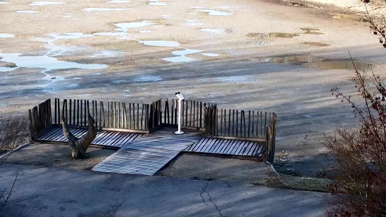 Spletna kamera Ribnik Vrbje – Žalec
