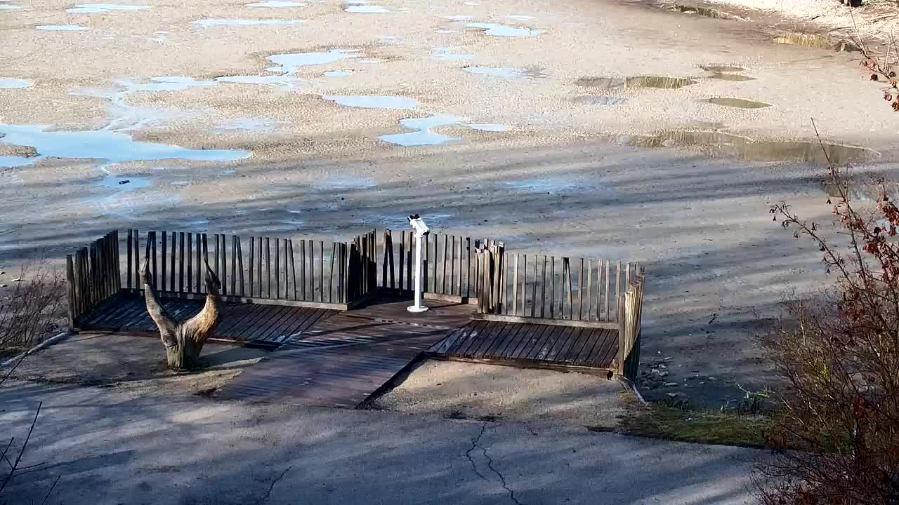 Webcam Ribnik Vrbje – Žalec