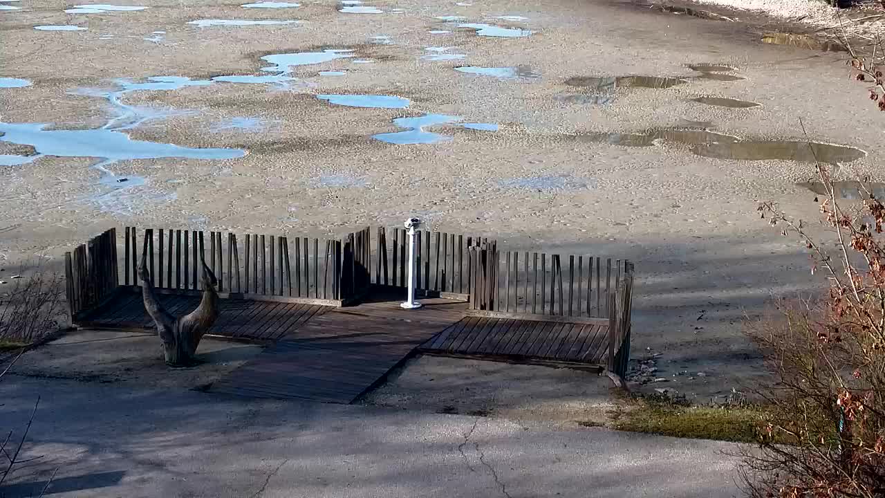 Webcam Ribnik Vrbje – Žalec
