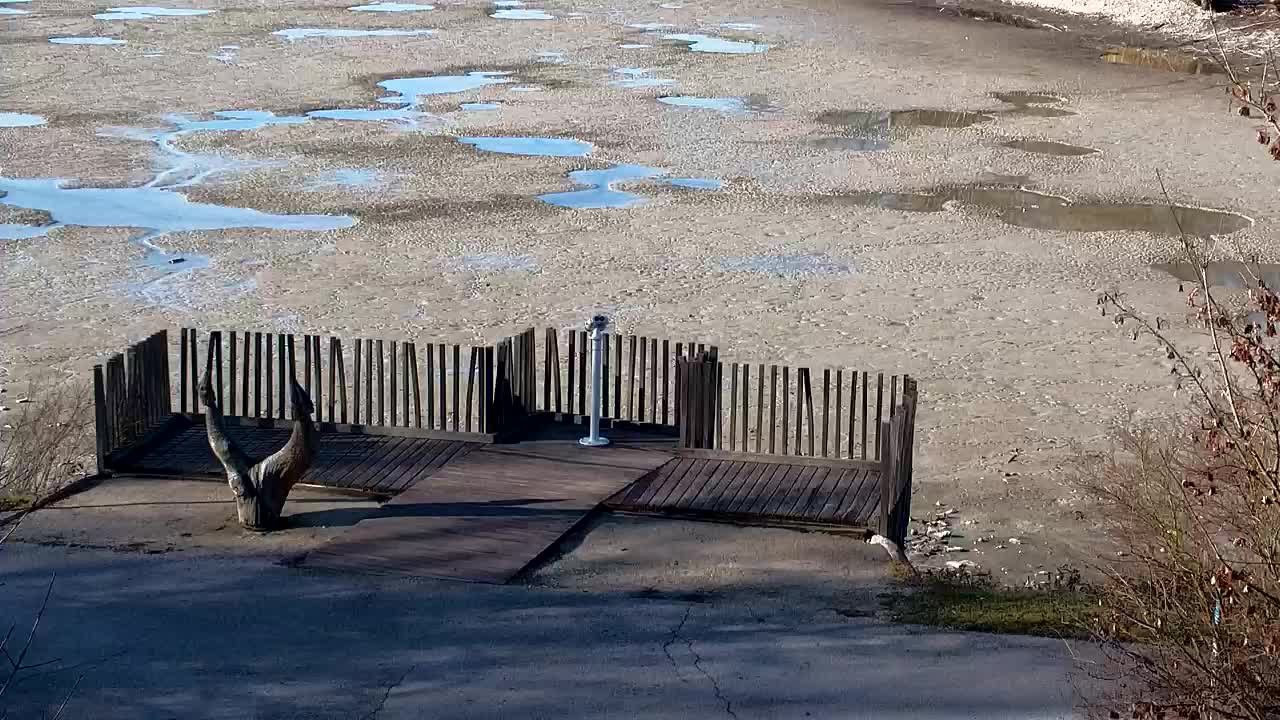 Webcam Ribnik Vrbje – Žalec