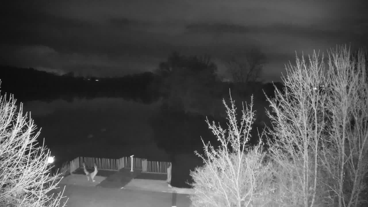 Webcam Ribnik Vrbje – Žalec