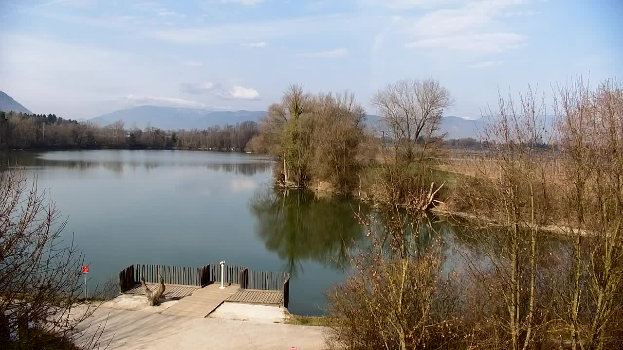 Spletna kamera Ribnik Vrbje – Žalec