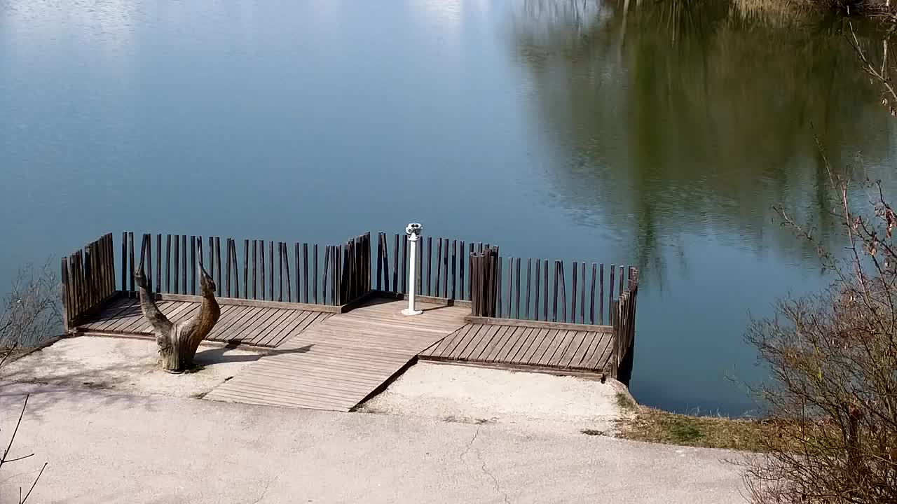 Webcam Ribnik Vrbje – Žalec