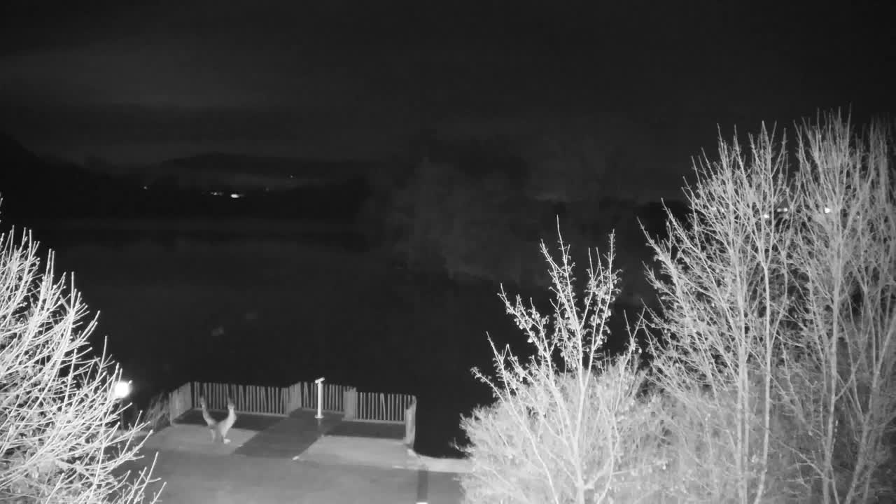 Webcam Ribnik Vrbje – Žalec