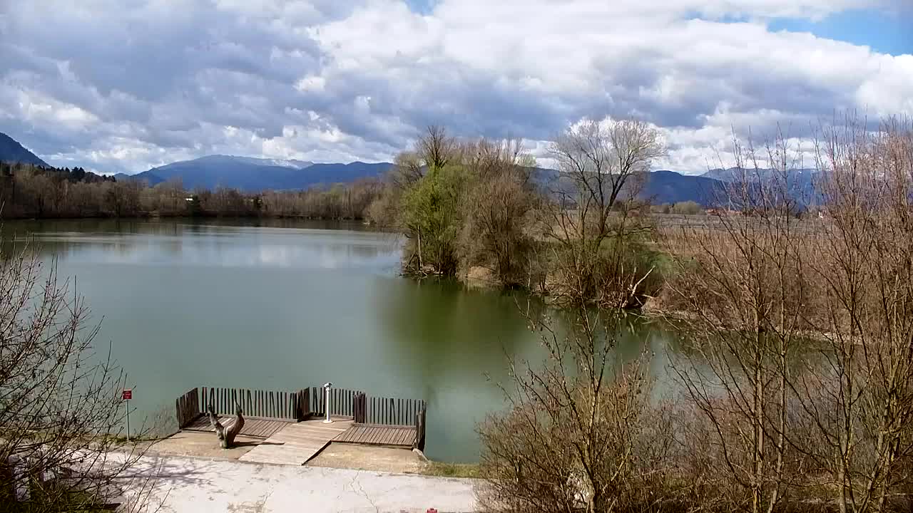 Webcam Ribnik Vrbje – Žalec