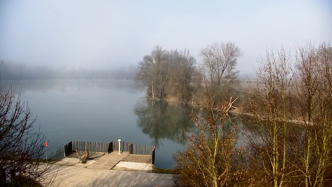 Webcam Ribnik Vrbje – Žalec