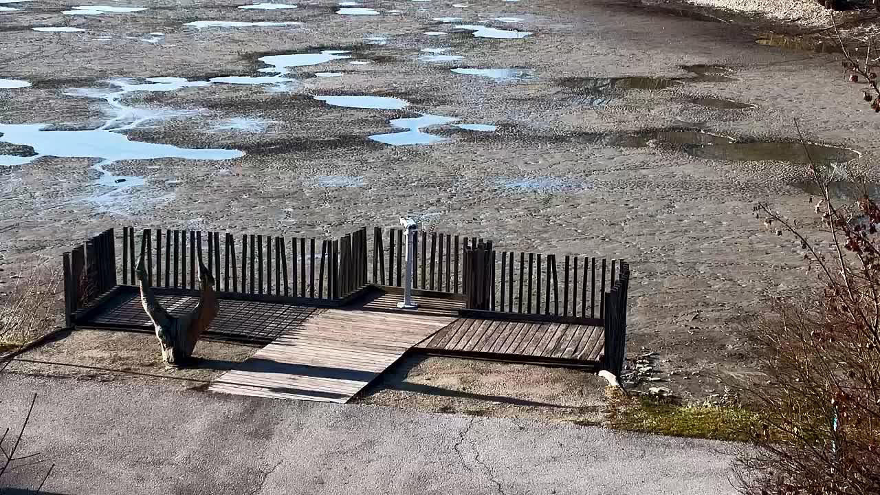 Webcam Ribnik Vrbje – Žalec