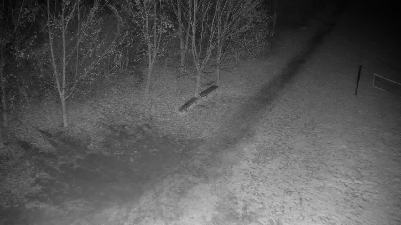 Webcam Ribnik Vrbje – Žalec