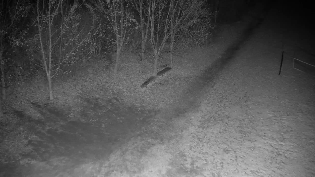 Webcam Ribnik Vrbje – Žalec