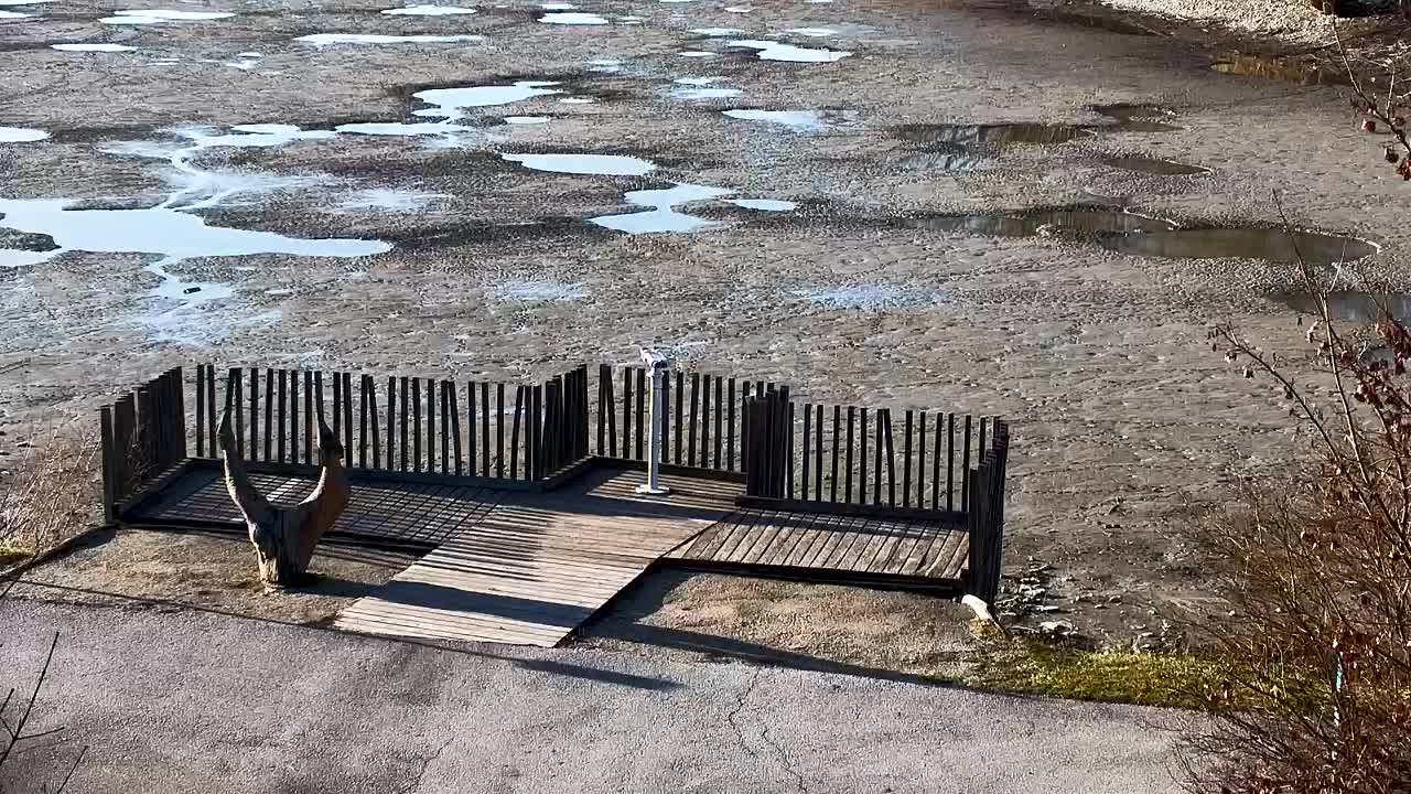 Webcam Ribnik Vrbje – Žalec