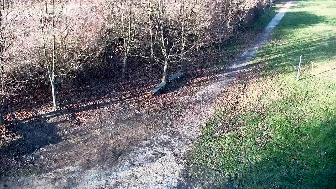 Spletna kamera Ribnik Vrbje – Žalec