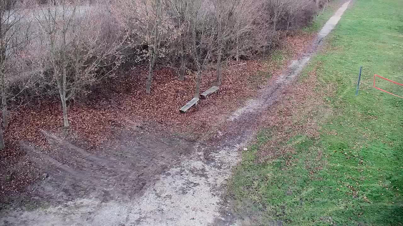 Spletna kamera Ribnik Vrbje – Žalec