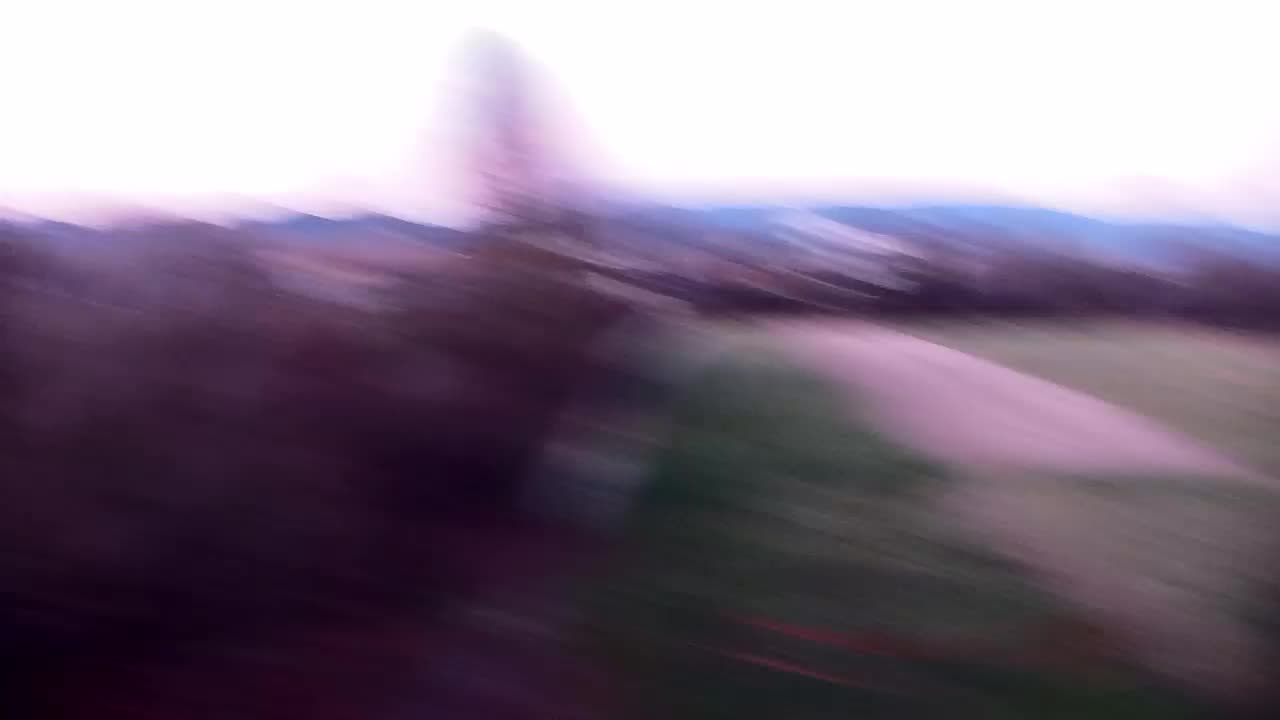 Webcam Ribnik Vrbje – Žalec