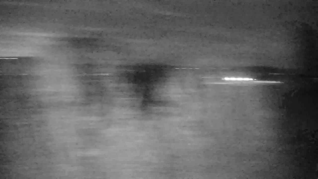 Web kamera Ribnik Vrbje – Žalec