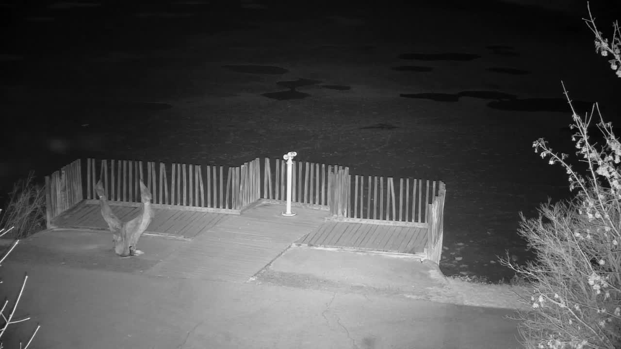 Webcam Ribnik Vrbje – Žalec