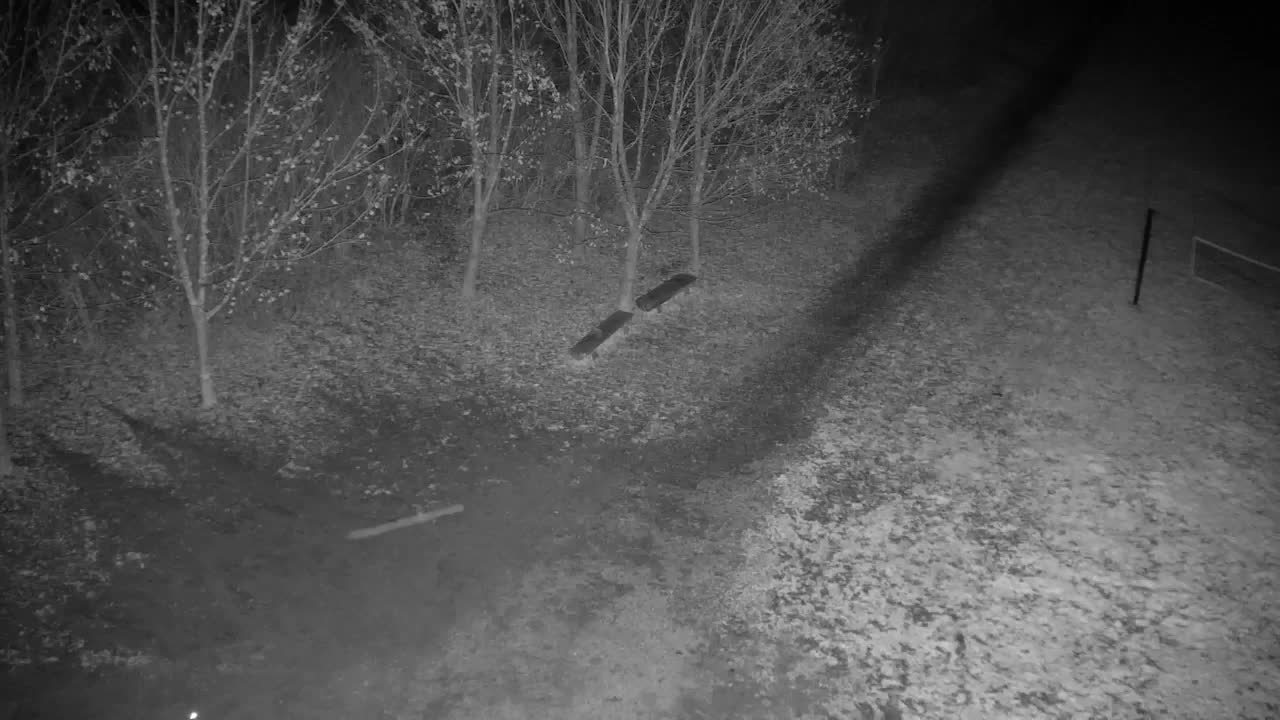 Webcam Ribnik Vrbje – Žalec