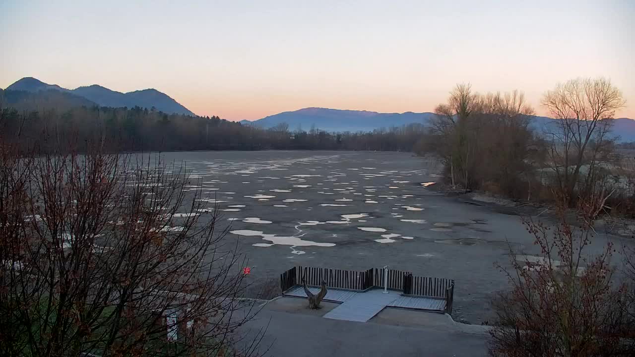 Spletna kamera Ribnik Vrbje – Žalec