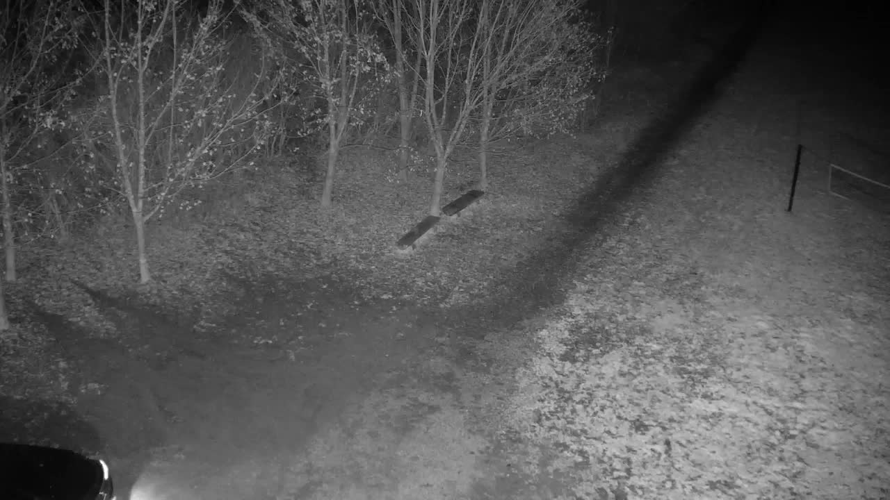 Webcam Ribnik Vrbje – Žalec