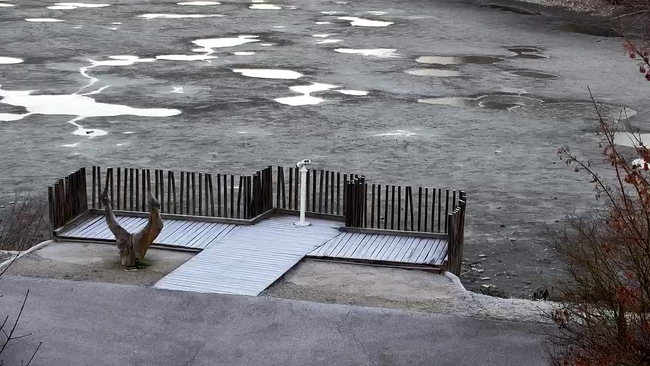 Spletna kamera Ribnik Vrbje – Žalec