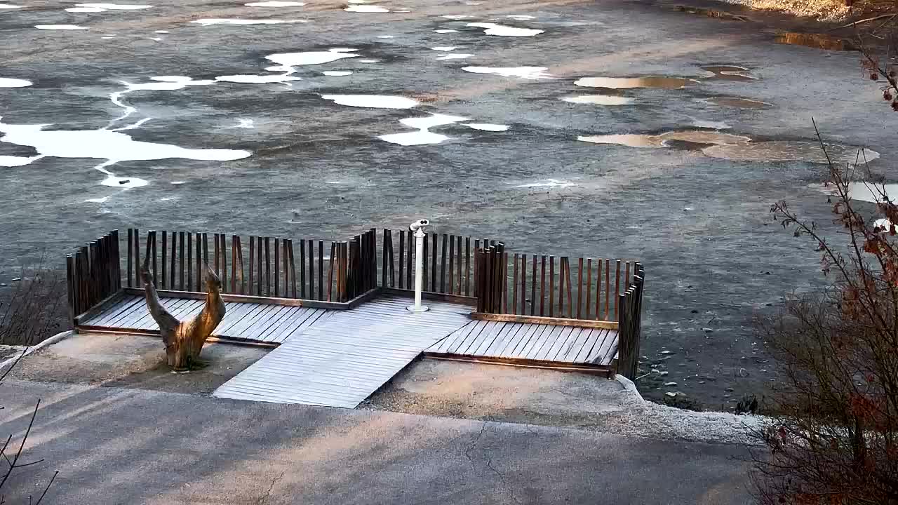 Webcam Ribnik Vrbje – Žalec