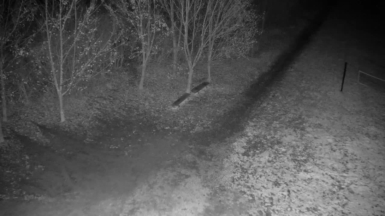 Webcam Ribnik Vrbje – Žalec