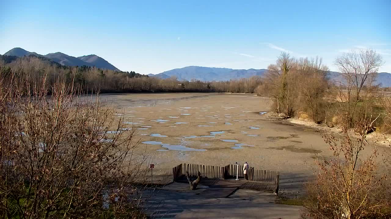 Spletna kamera Ribnik Vrbje – Žalec