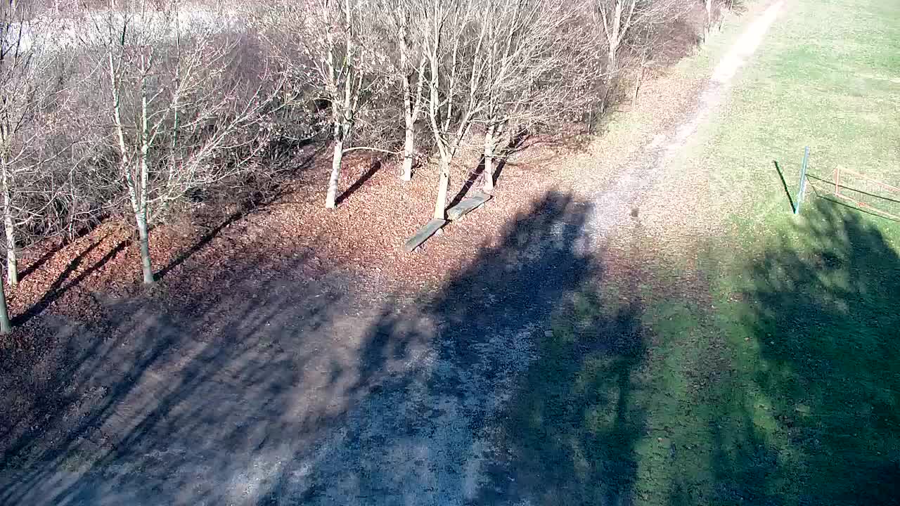 Webcam Ribnik Vrbje – Žalec