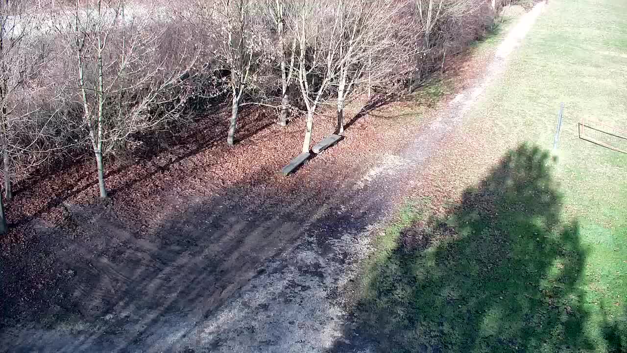 Webcam Ribnik Vrbje – Žalec