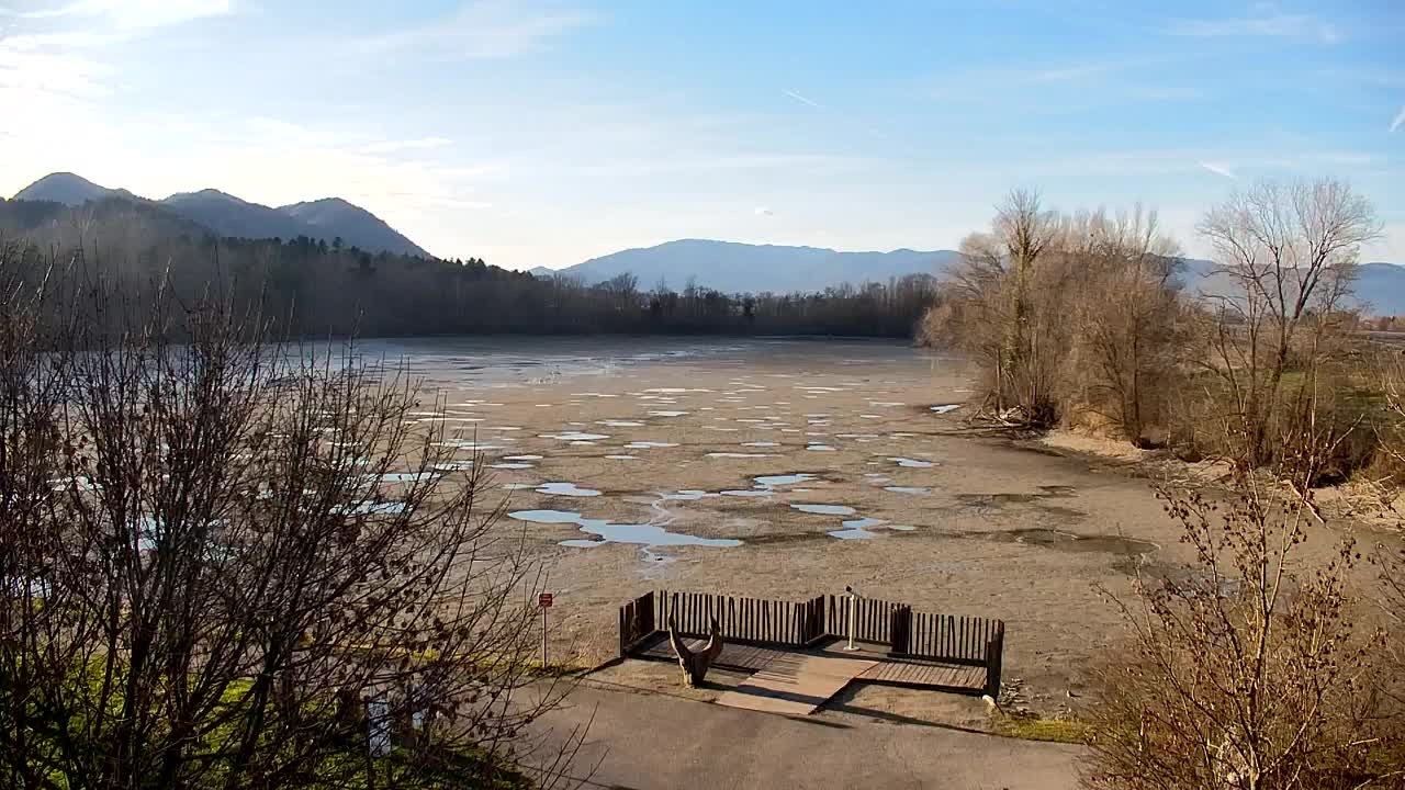 Webcam Ribnik Vrbje – Žalec