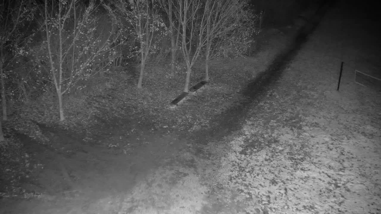 Webcam Ribnik Vrbje – Žalec