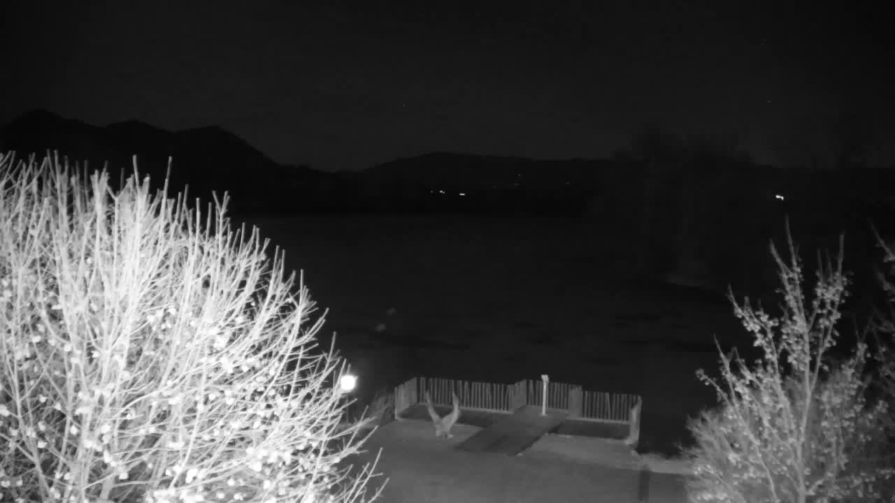 Spletna kamera Ribnik Vrbje – Žalec