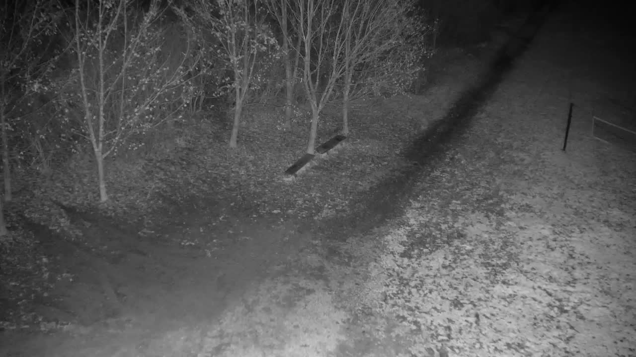 Webcam Ribnik Vrbje – Žalec