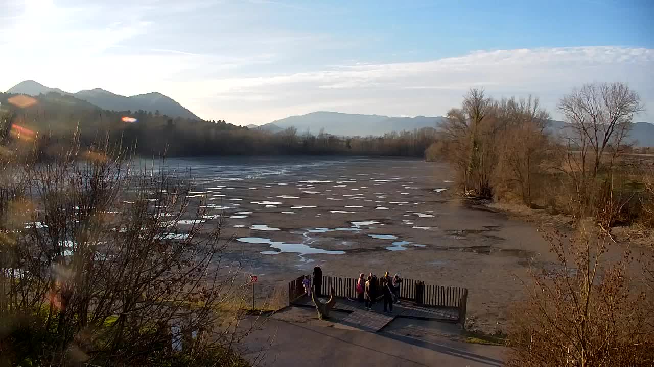 Webcam Ribnik Vrbje – Žalec