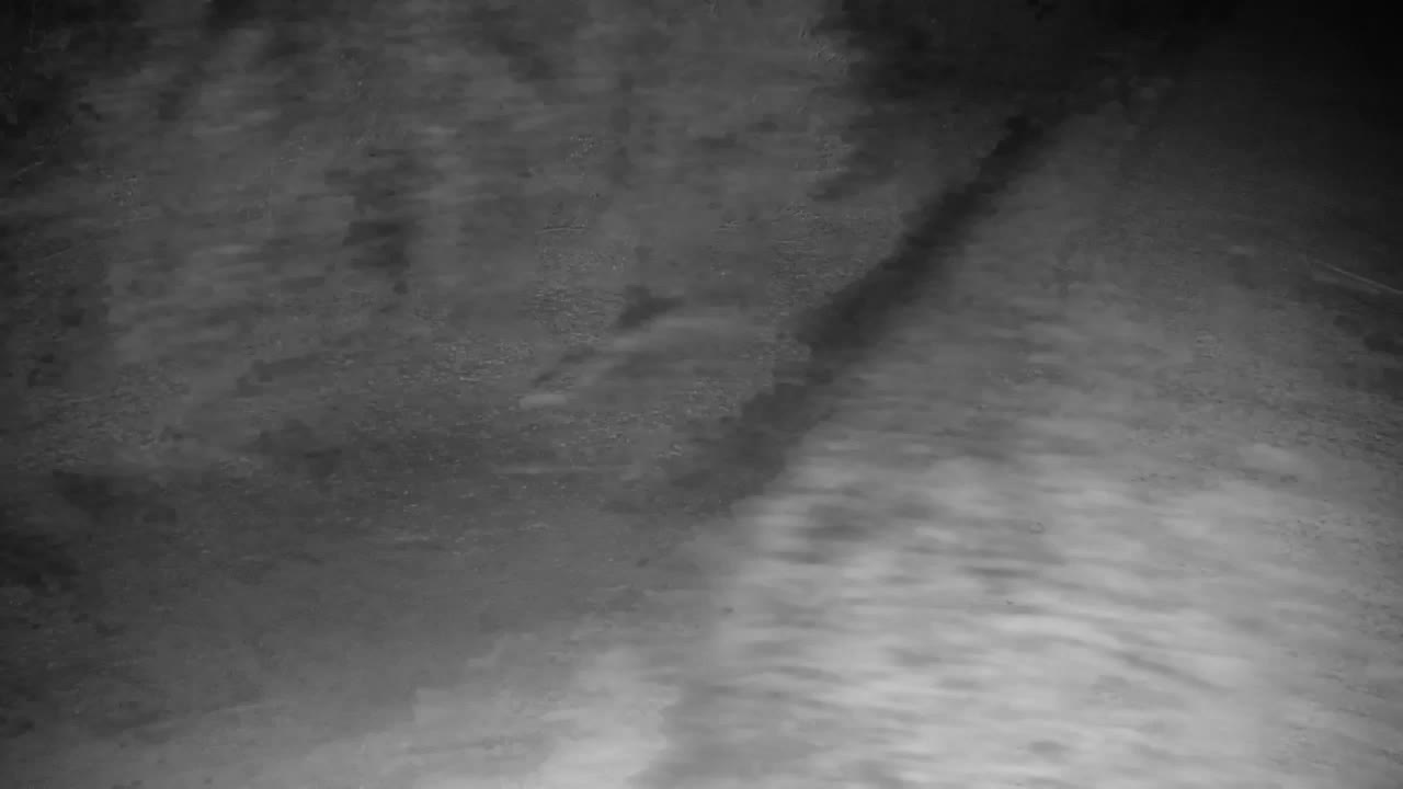 Webcam Ribnik Vrbje – Žalec