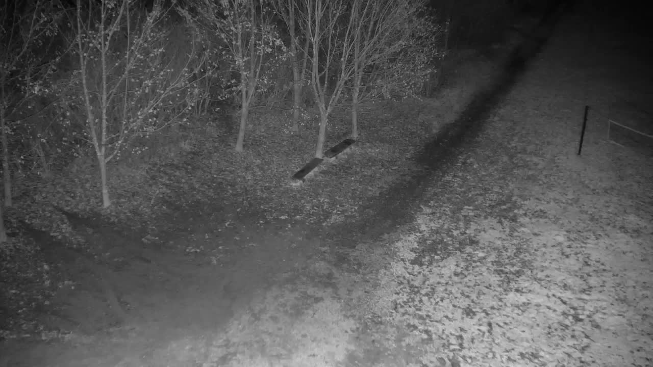 Webcam Ribnik Vrbje – Žalec