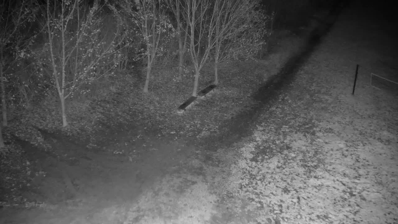 Webcam Ribnik Vrbje – Žalec