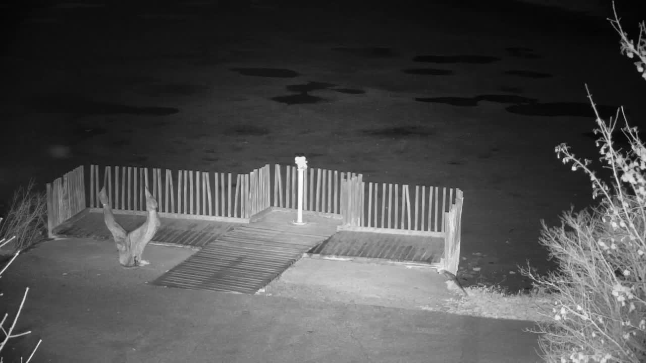 Web kamera Ribnik Vrbje – Žalec