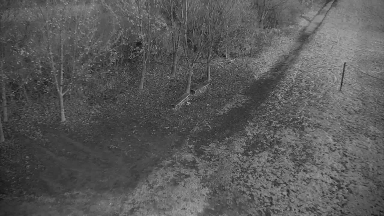 Web kamera Ribnik Vrbje – Žalec