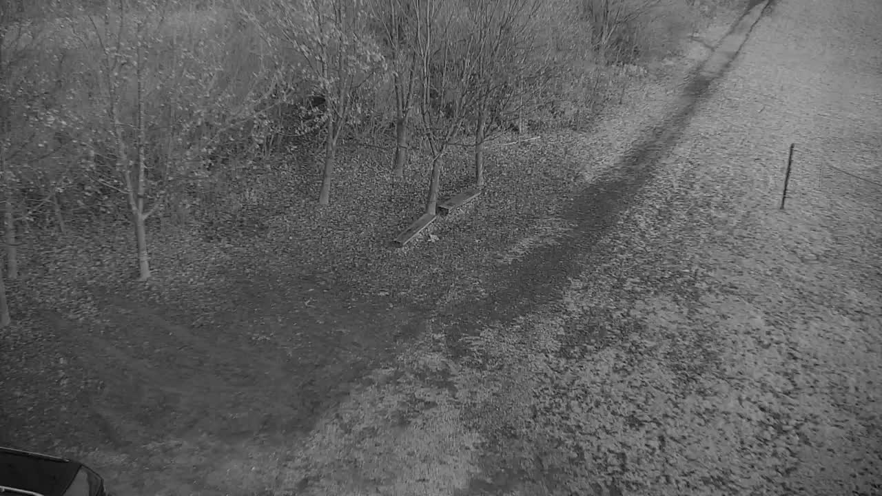 Spletna kamera Ribnik Vrbje – Žalec