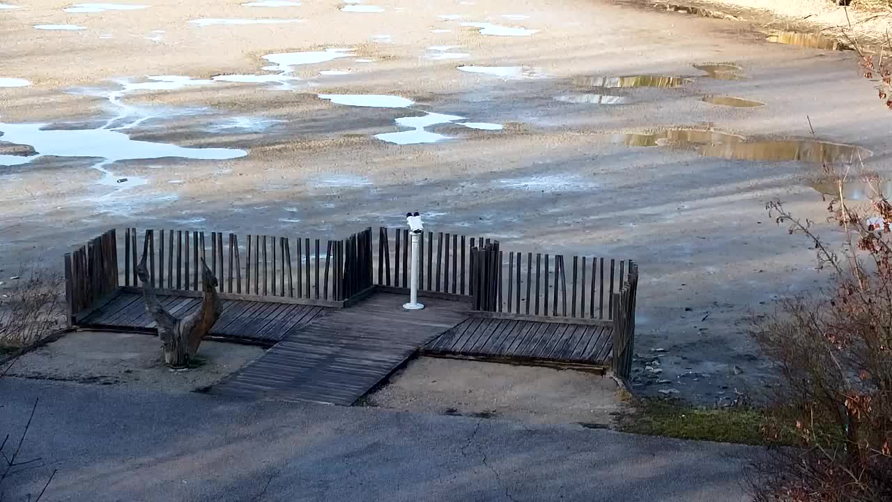 Spletna kamera Ribnik Vrbje – Žalec