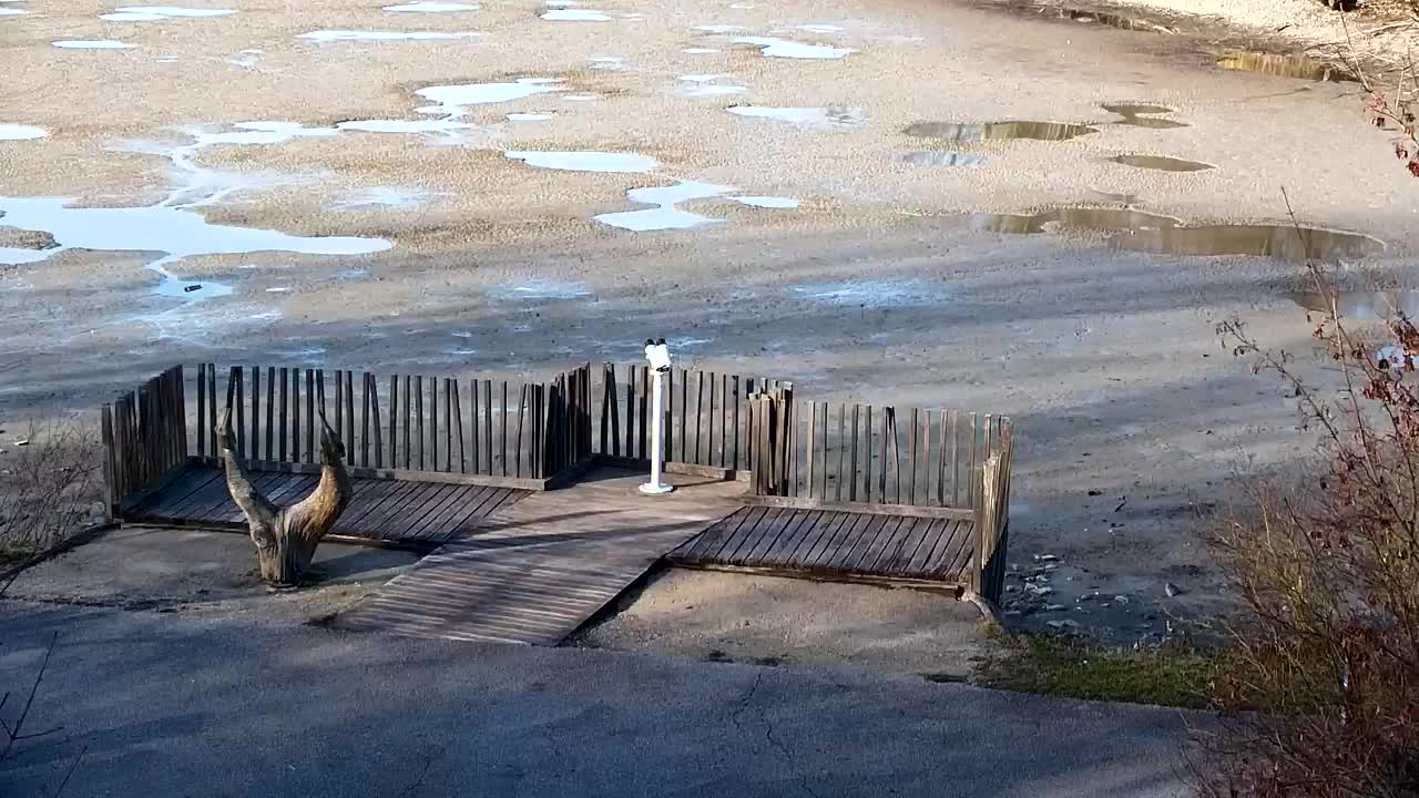 Webcam Ribnik Vrbje – Žalec