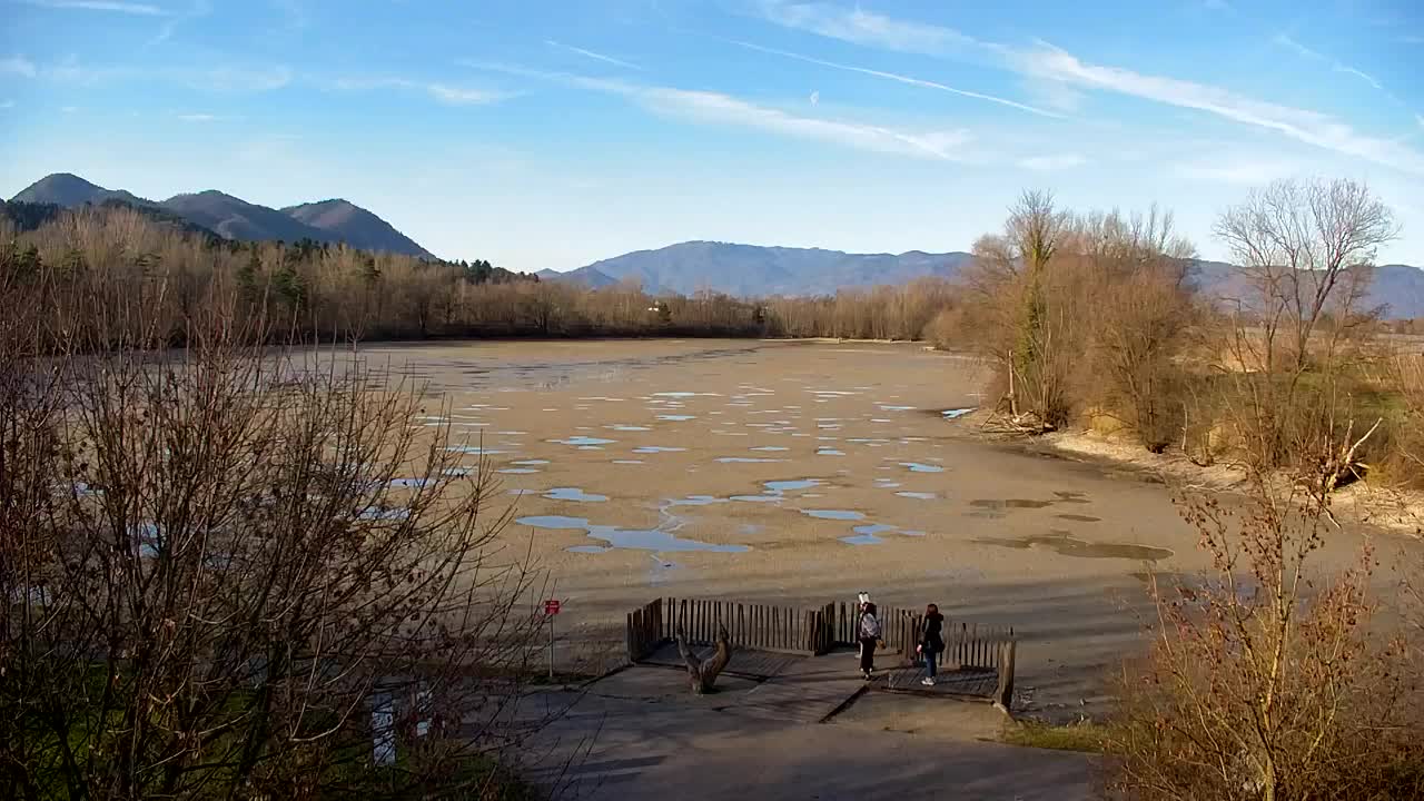 Webcam Ribnik Vrbje – Žalec