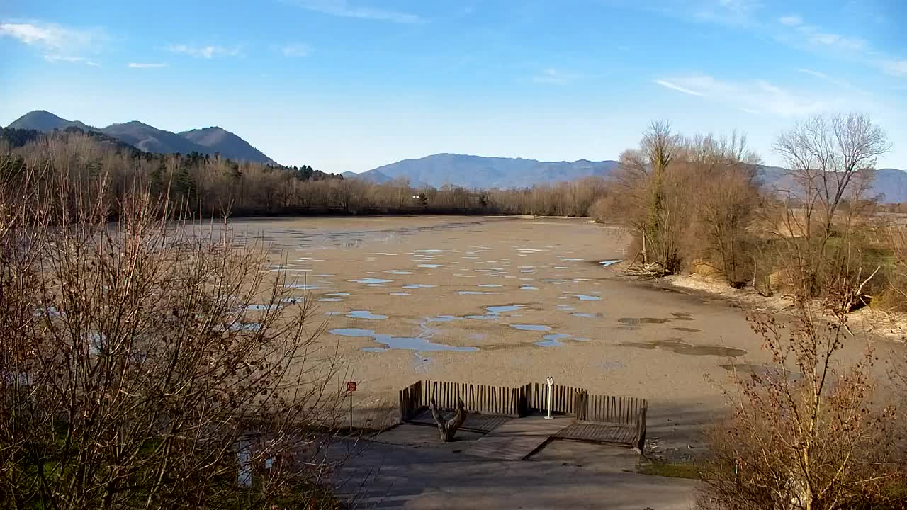 Webcam Ribnik Vrbje – Žalec
