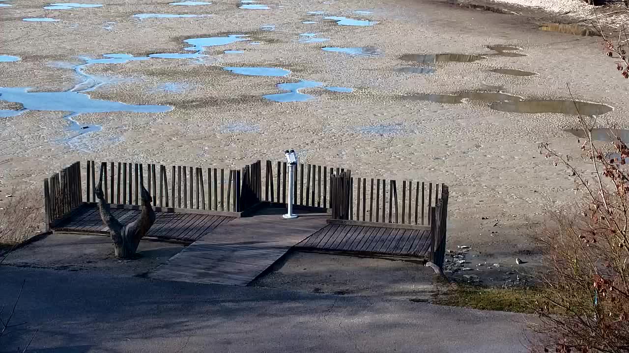 Webcam Ribnik Vrbje – Žalec