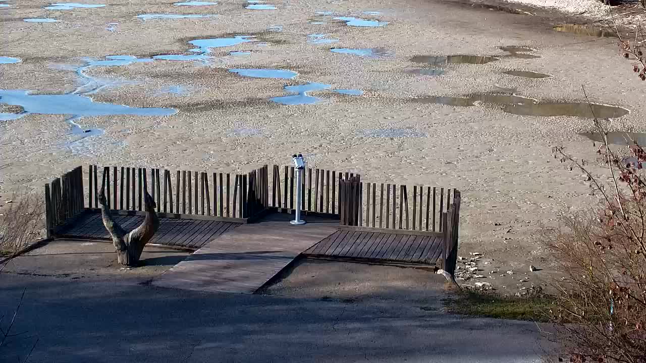 Webcam Ribnik Vrbje – Žalec